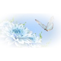 Back to Basics Care & Training Limited Logo