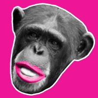 lipstick - Social Media Content Agency Logo