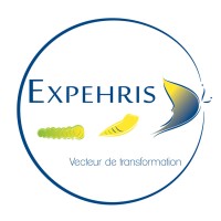 EXPEHRIS Consulting Logo
