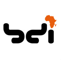 BDI Logo