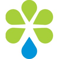 QiQi Labs Logo