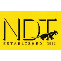 NDT ITALIANA Logo