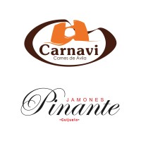 Carnavi | Pinante Logo