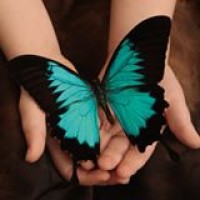 Ovations for the Cure of Ovarian Cancer Logo