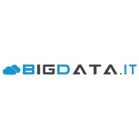 BigData.it Logo
