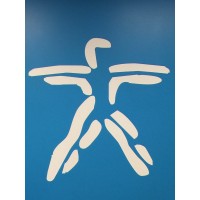 FYZICAL Dizziness and Fall Prevention Center Logo