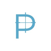 Precise Business Solutions Logo