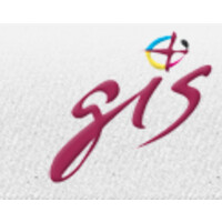 Graphic Information Systems Logo