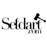Setdart Logo