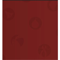 Papaya Concepts Logo