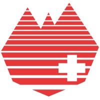 LidarSwiss Solutions GmbH Logo