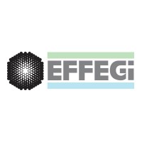 Effegi srl Logo