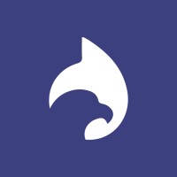 Dimmo Conseil Logo