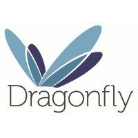 Dragonfly Agency Logo