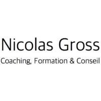 Nicolas Gross Consulting Logo