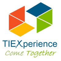 Technology Information Experience S.L. Logo