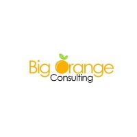 Big Orange Consulting Logo