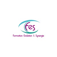 Formation Evolution et Synergie Logo