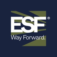 Edil San Felice S.p.A. Logo