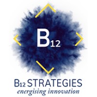 B12 Strategies Logo