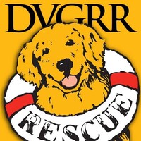 Delaware Valley Golden Retriever Rescue Logo