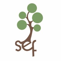 Sycamore Education Foundation Logo