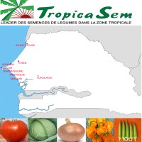 TROPICASEM SENEGAL Logo