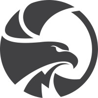 Falcon Solutions Ltd. Logo
