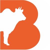 Bigdelivery Logo