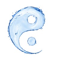 MDM TAO Logo