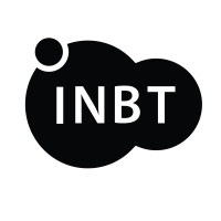 Johns Hopkins Institute for NanoBioTechnology Logo