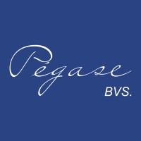Pegase Bvs Logo