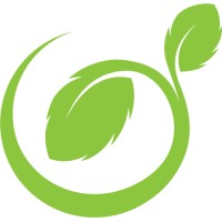 Neoni Wealth Strategies Logo