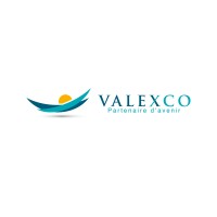 VALEXCO Logo