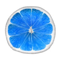 Blue Lime US Logo