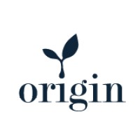 Origin Consulting Logo