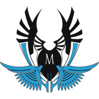 Ing. Zago Mattia Logo