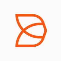 Lilo Social Logo
