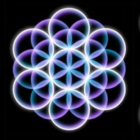 Heart and Soul Holistic Healing Center Logo