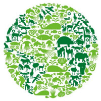 Animal Rights Advocates Logo