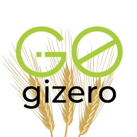 Gizero Energie Srl Logo