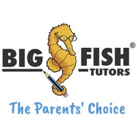 Big Fish Tutors: English, Maths & Science Logo