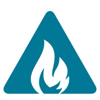 Blaze Systems Corporation Logo