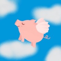 SkyPiggy Ltd Logo