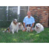 Will Thomas Dog Whisperer Logo