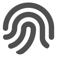 Native Touch Logo