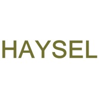 Haysel Consulting Logo