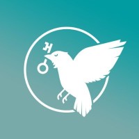 Wisdom Gaming Logo