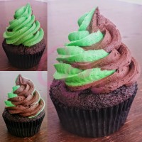 Carinas Cakery Inc. Logo