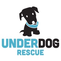 Underdog Rescue MN Logo